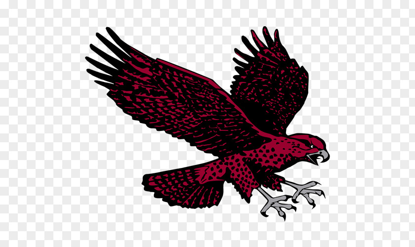 Eagle University Of Maryland Eastern Shore Hawks Men's Basketball Mascot PNG