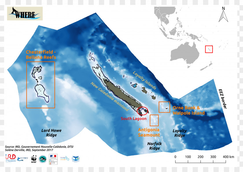 Map Coral Sea Geography Of New Caledonia Marine Mammal PNG