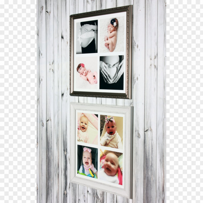 Window Picture Frames Photography Collage PNG