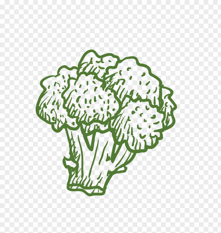 Broccoli Cauliflower Vegetable Computer File PNG