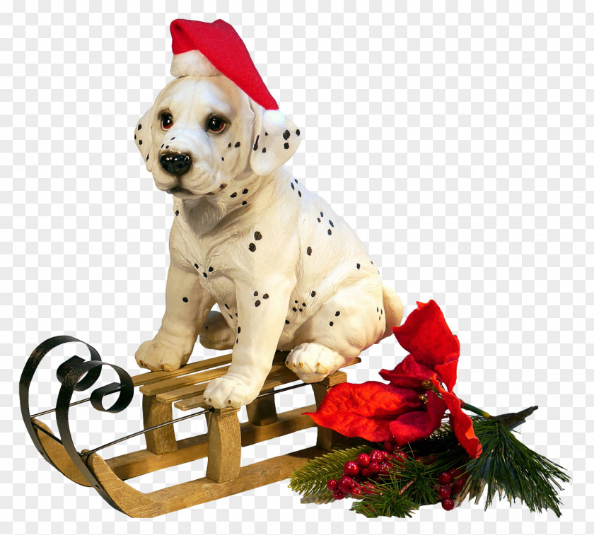 Christmas Dog New Year Clip Art PNG