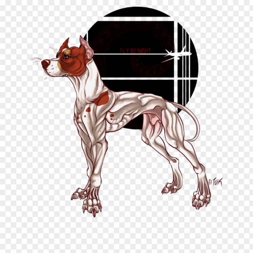 Flight Fear Dog Breed Italian Greyhound Cartoon Character PNG