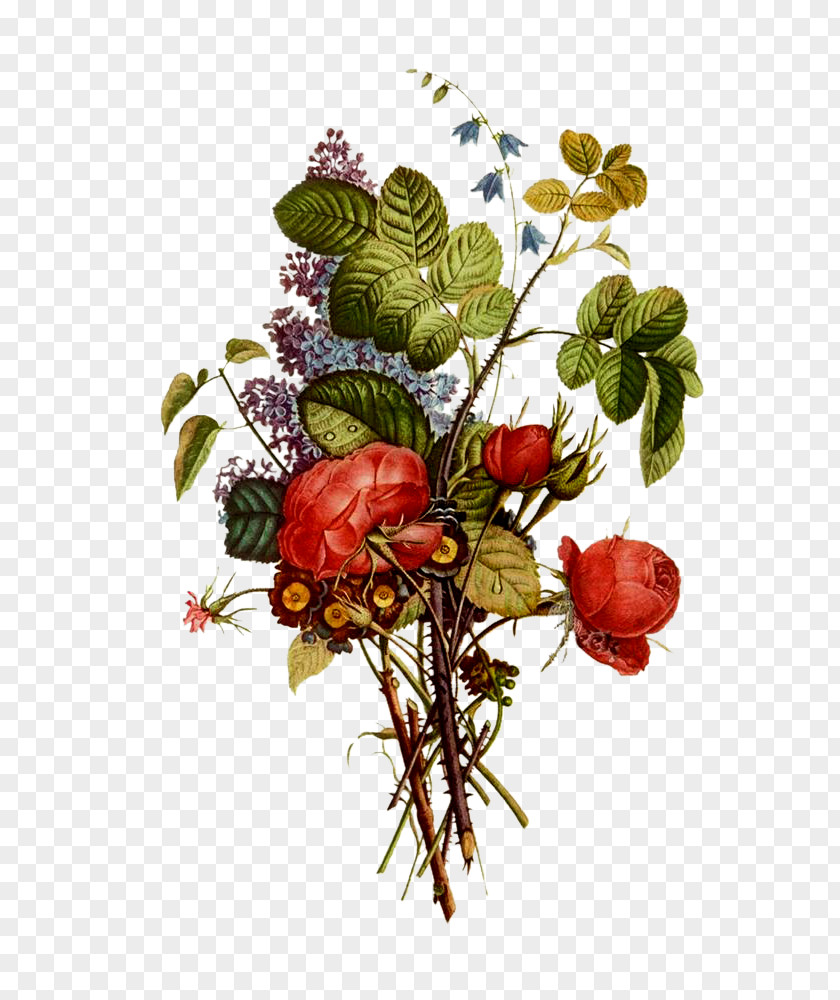 Flower Fruit Berry Floral Design PNG