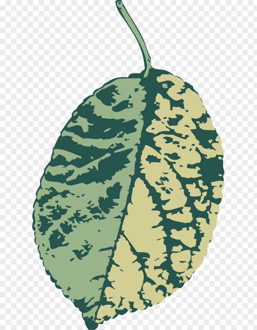 Leaf Painting PNG