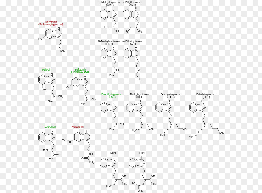 N,N-Dimethyltryptamine Serotonin Melatonin Tryptophan PNG