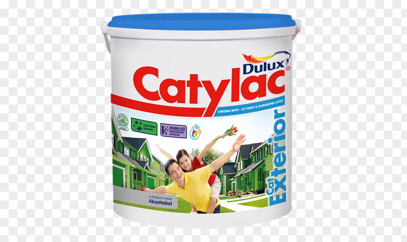 Paint Dulux Nippon Wall Building PNG