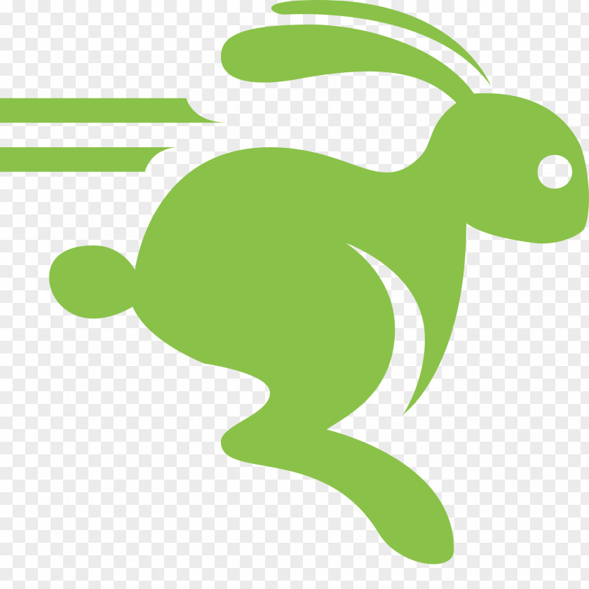 Rabbit Hare Download PNG