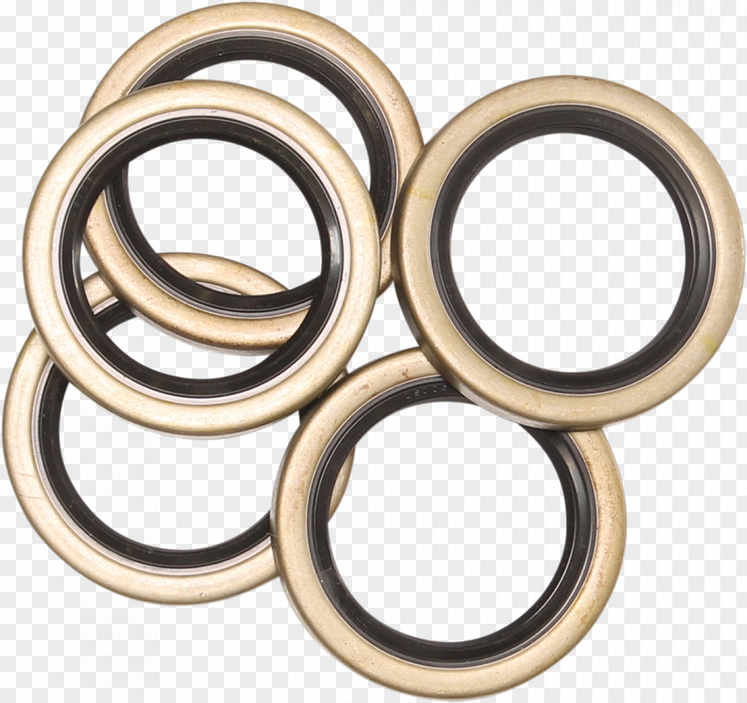 Silver 01504 Ball Bearing Body Jewellery PNG