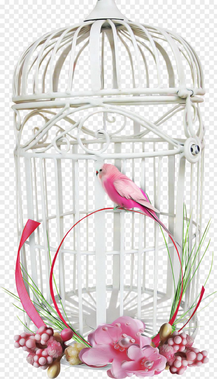 Cage Bird Supply Pet Plant PNG