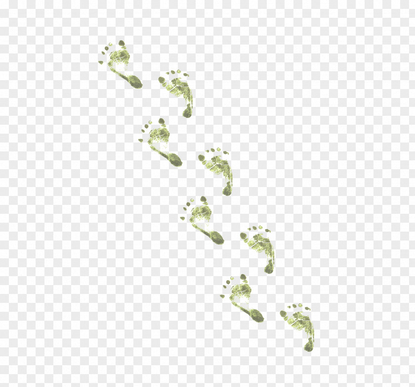 Green Footprints Line Angle Point Area Pattern PNG