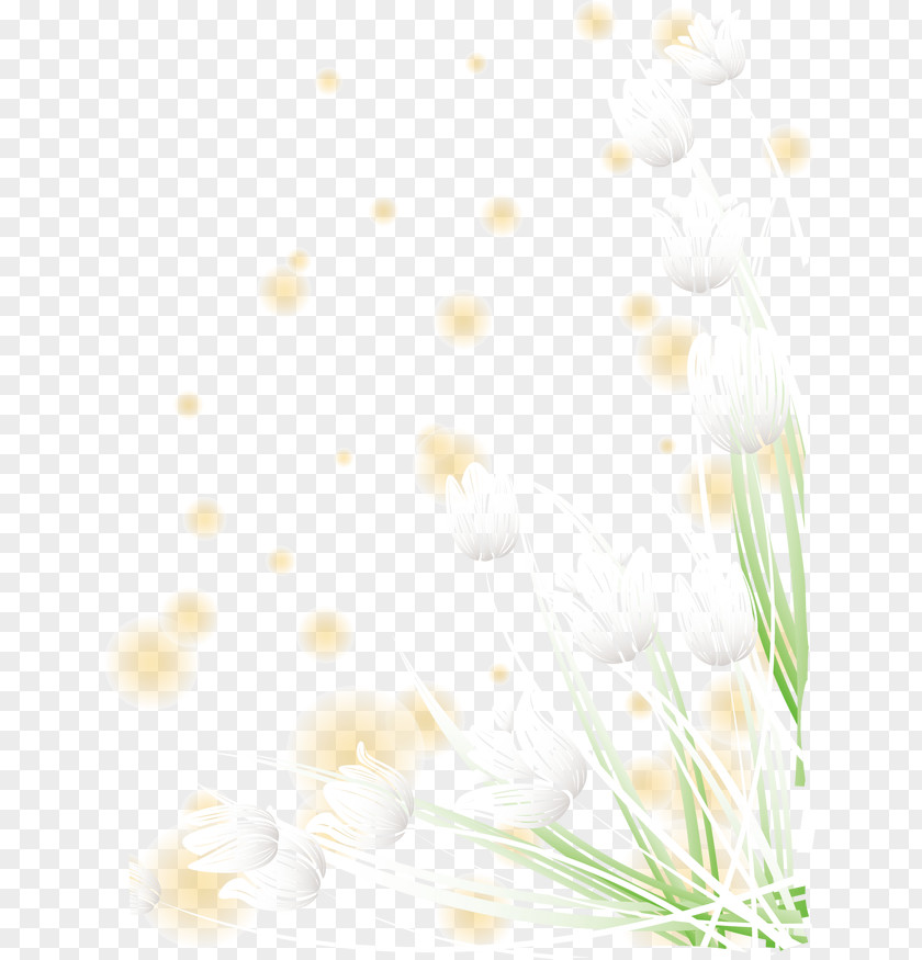 White Floral Decoration Pattern Flower PNG