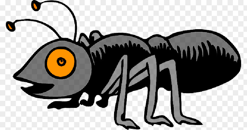 Ant Clip Art Insect PNG