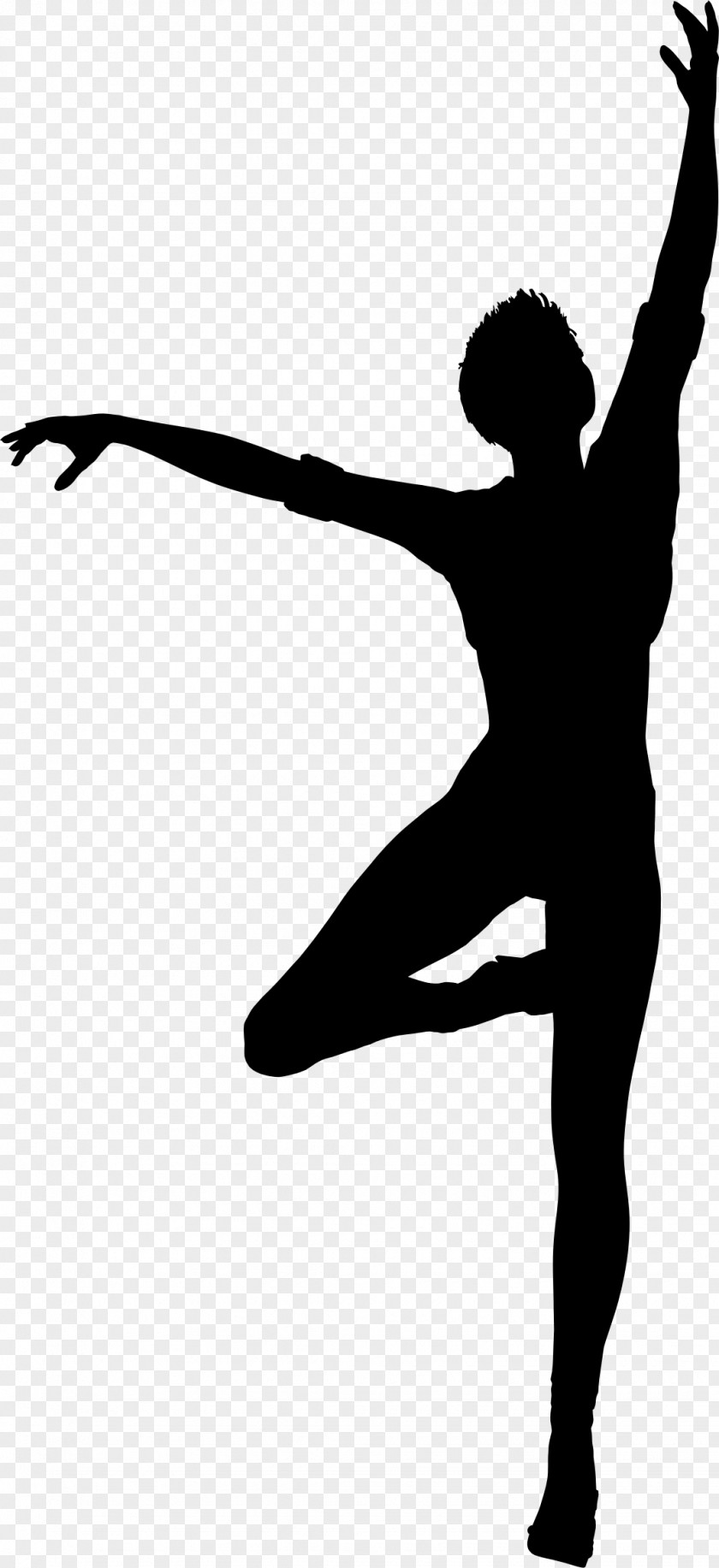 Ballet Dancer Moscow State Academy Of Choreography Silhouette PNG