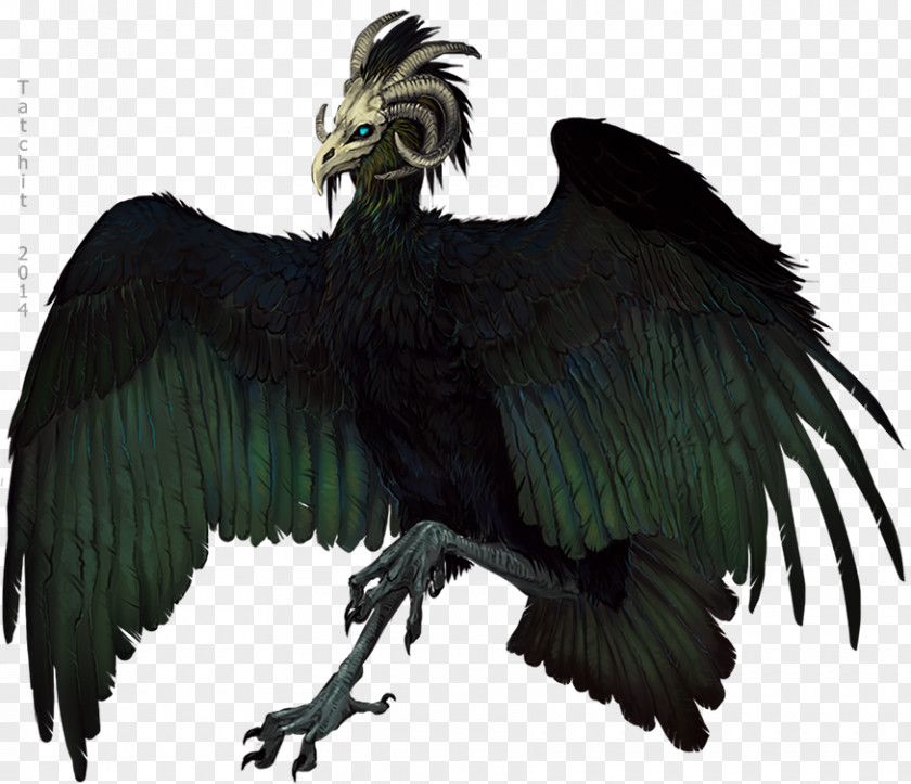 Bird Vulture Legendary Creature Art Drawing PNG