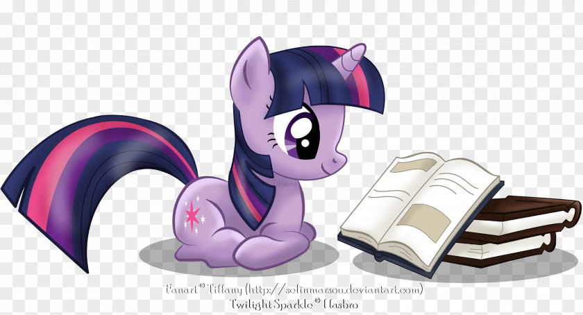 Colo Twilight Sparkle Pinkie Pie Rarity Pony Rainbow Dash PNG