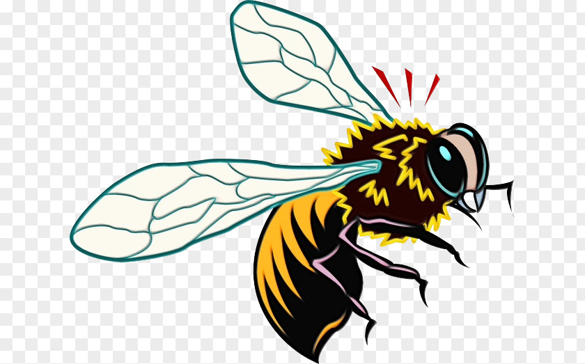 Hoverfly Blowflies Bee Cartoon PNG