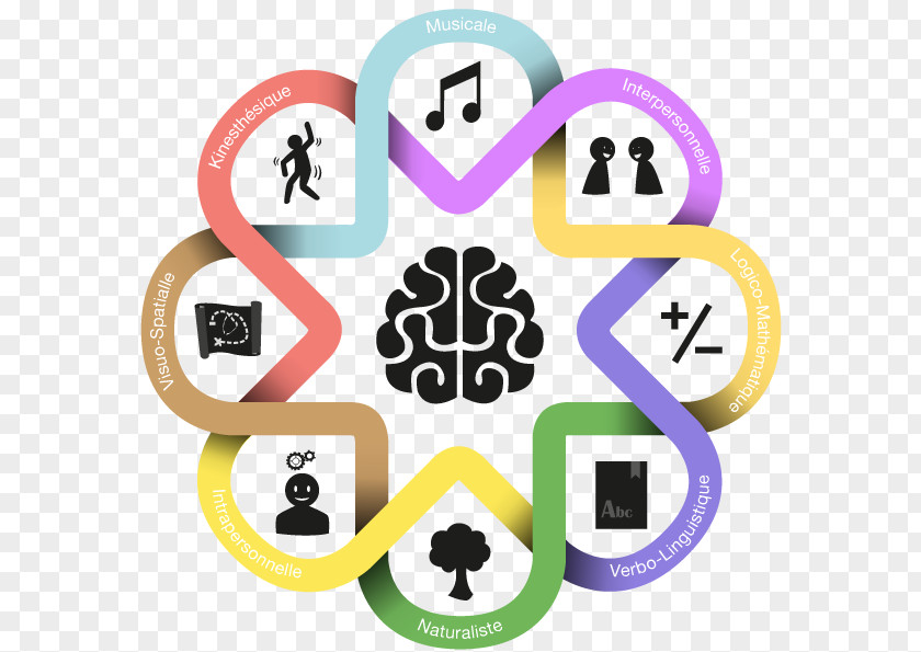 Intelligence Quotient Theory Of Multiple Intelligences Emotional Psychology PNG