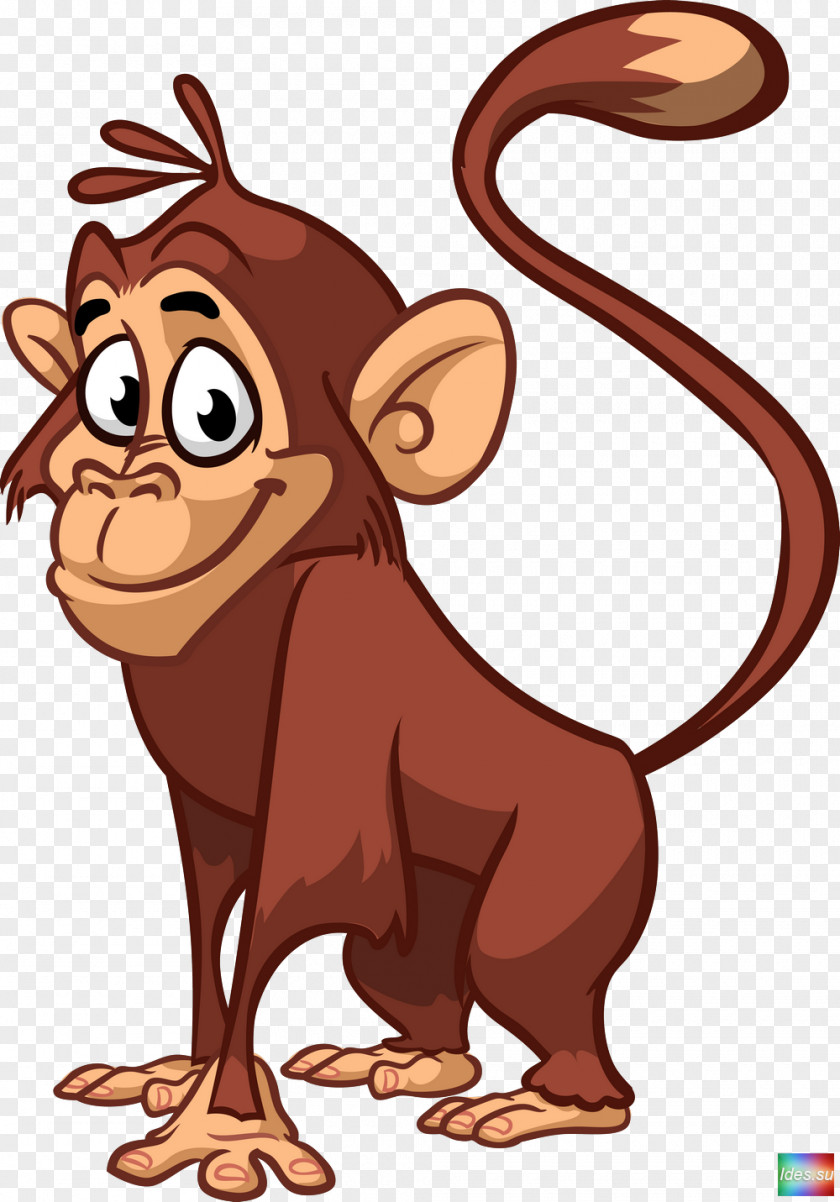Animals Vector Chimpanzee Monkey PNG