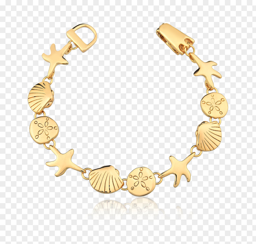 Necklace Bracelet Earring Seashell Gold PNG