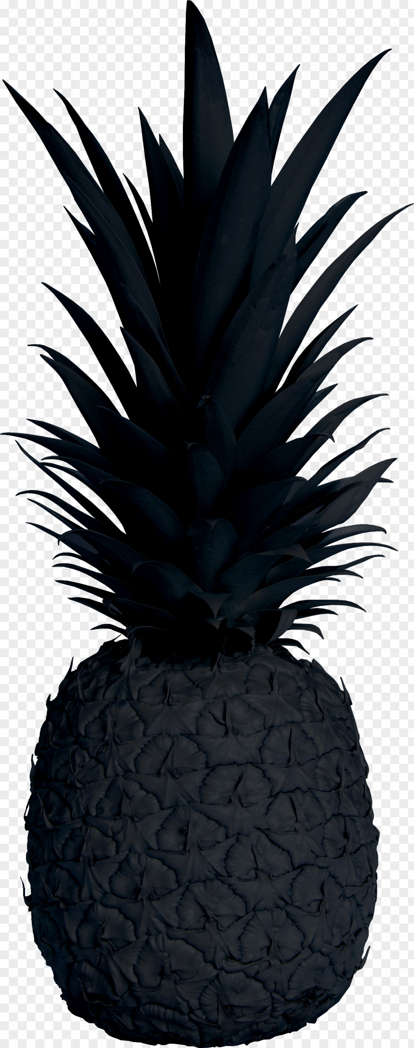 Pineapple Black Public Relations Co Grey PNG