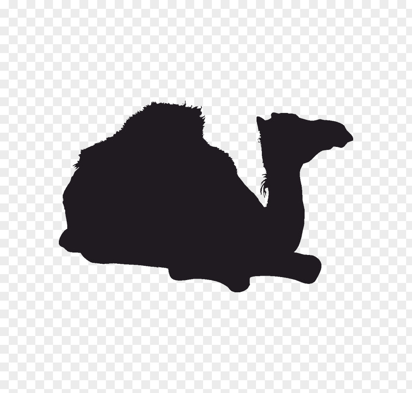 Silhouette Image Camel Chinchilla Logo PNG