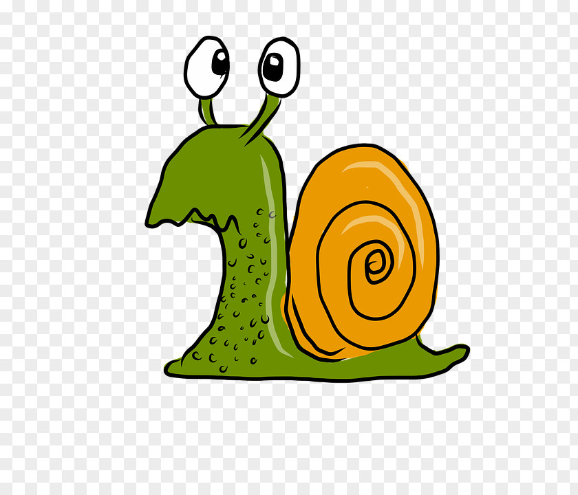 Snail Racing Schnecken Slug Clip Art PNG