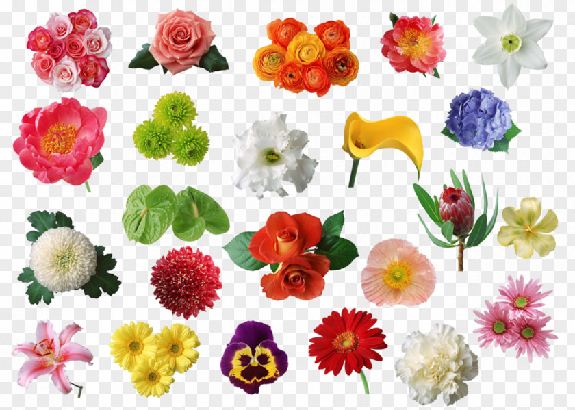 Vining Floral Outline Design Cut Flowers Artificial Flower Bouquet PNG