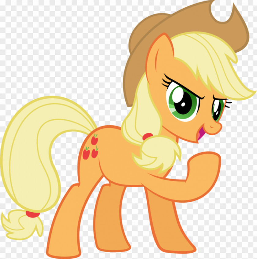 Apple Applejack Twilight Sparkle Rainbow Dash Pony Pinkie Pie PNG