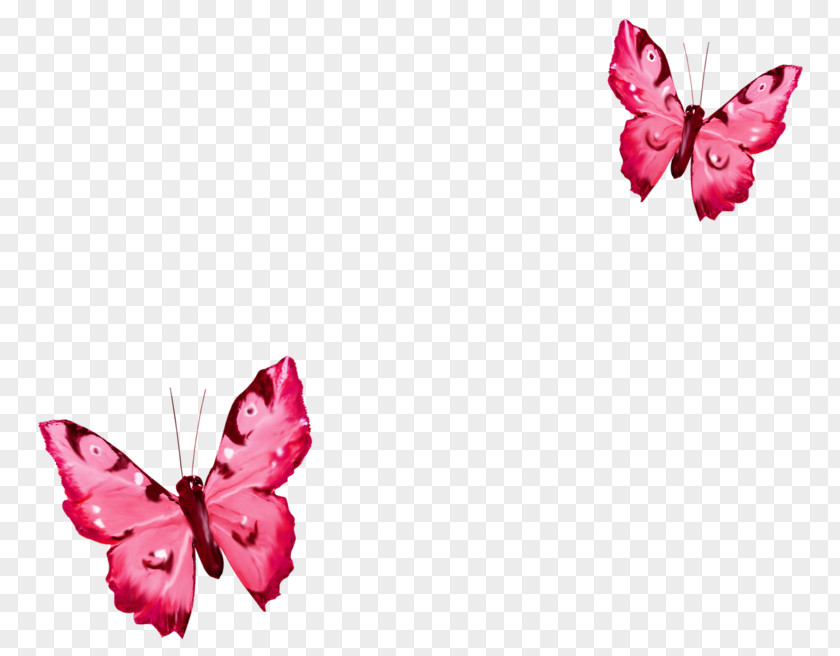 Butterfly Clip Art Image Borboleta PNG