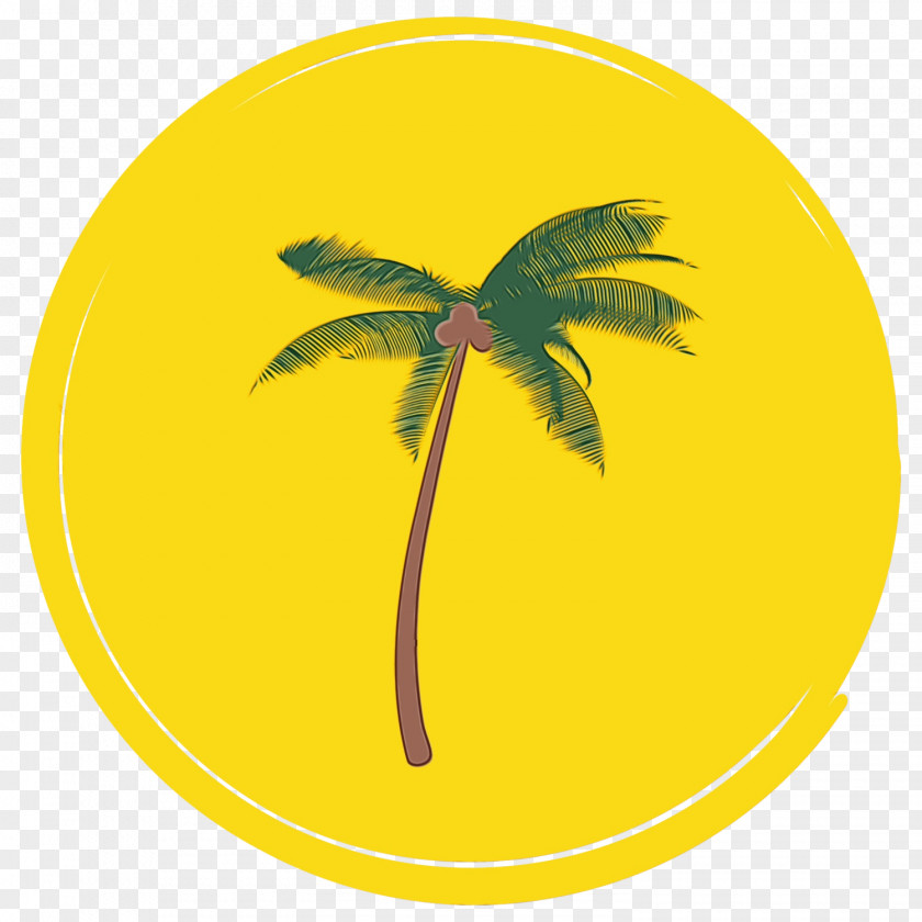 Coconut Plant Tree Cartoon PNG