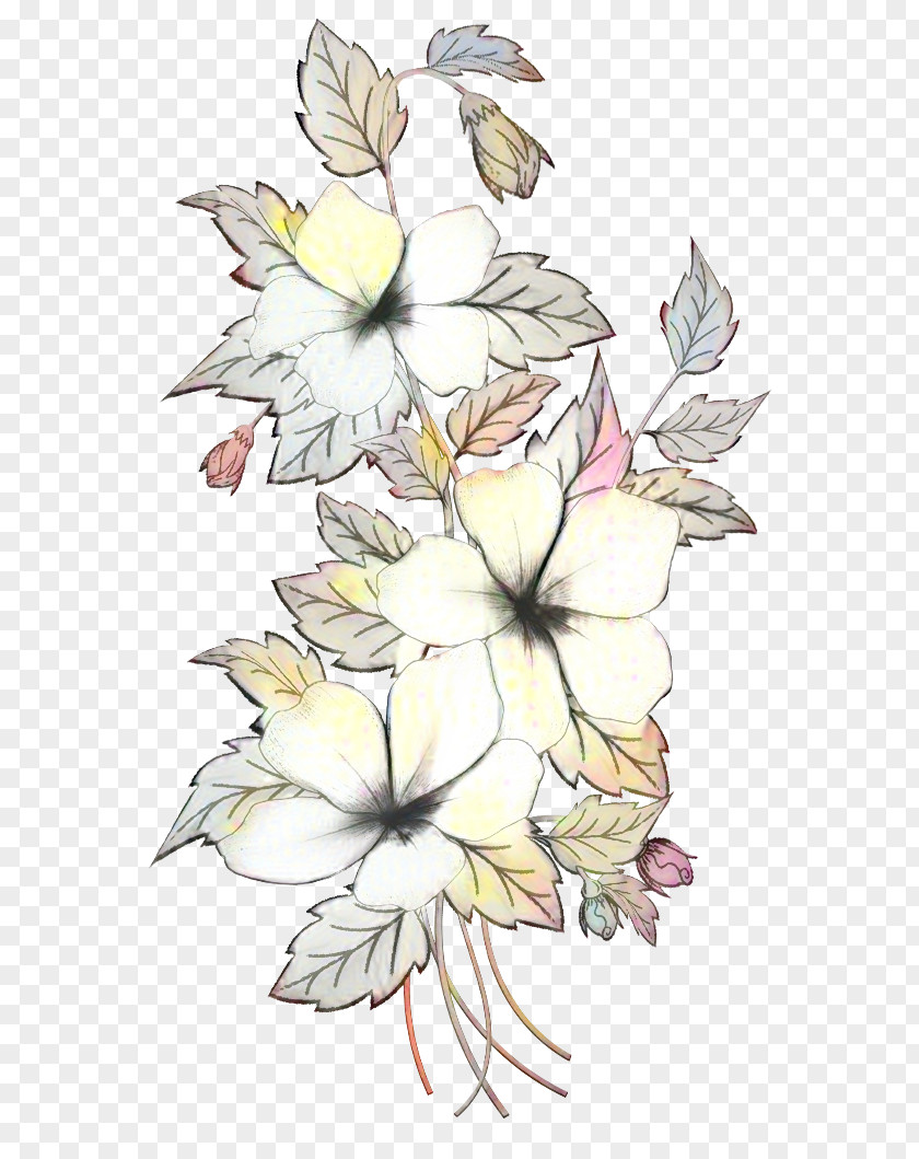Floral Design Cut Flowers Illustration Plant Stem Leaf PNG