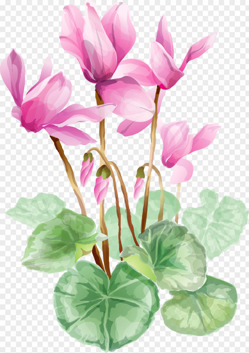 Lotus Flower Clip Art PNG