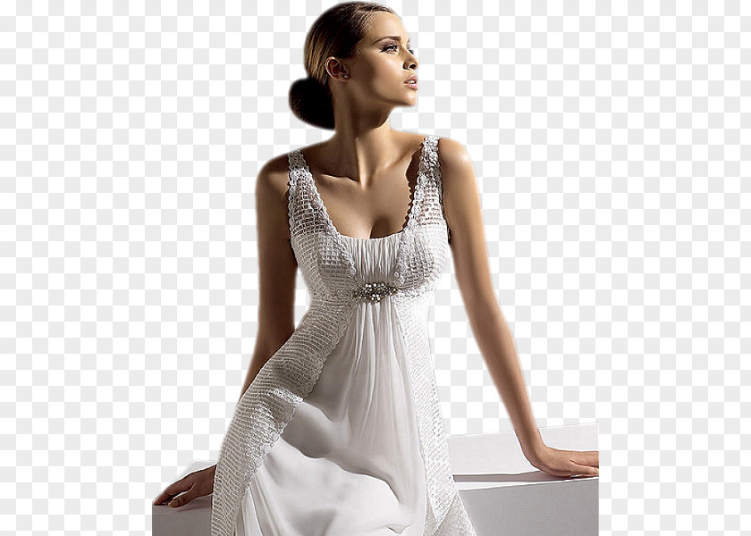 Oriental Wedding Dress Bride Sophia Tolli Pronovias PNG
