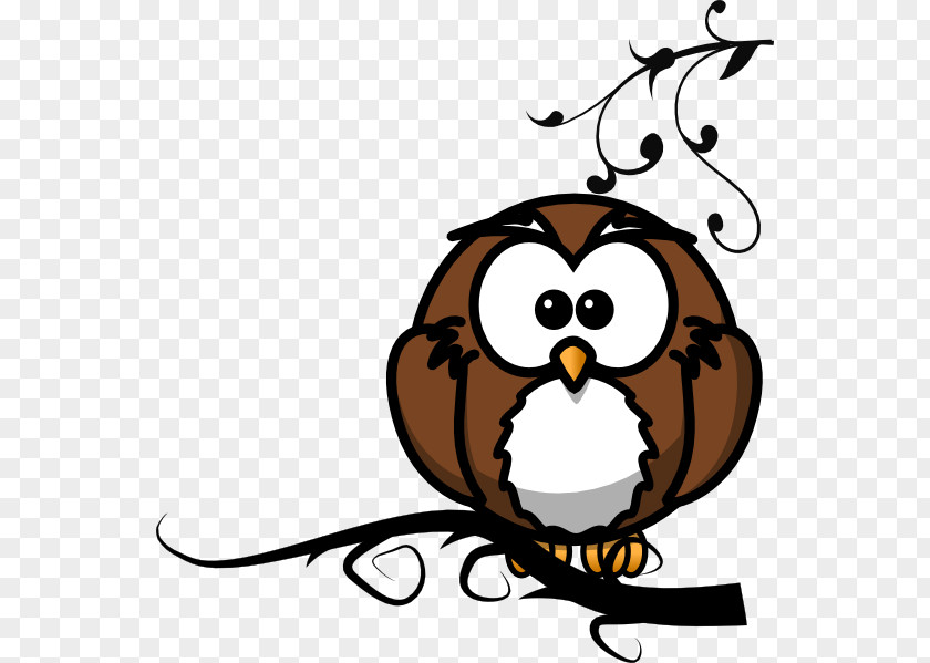 Owl Branch Clip Art Image Vector Graphics PNG