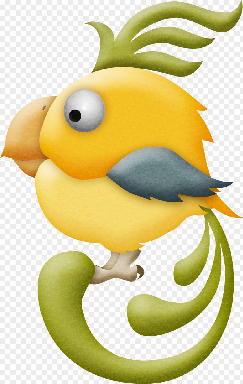 Parrot Bird Clip Art PNG