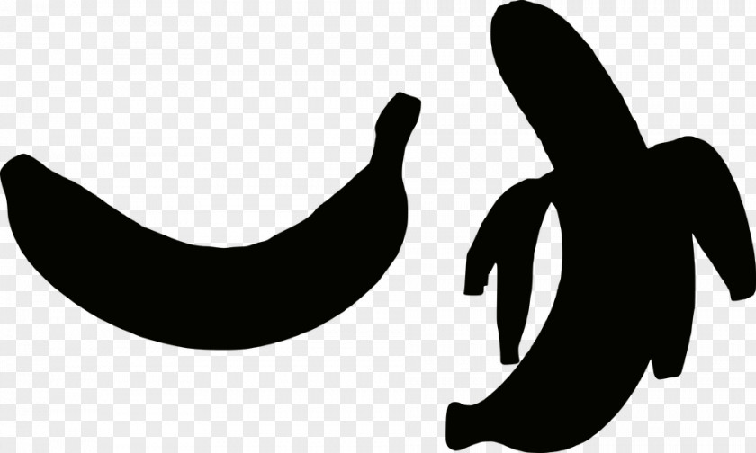 Banana Clip Art Silhouette Vector Graphics Drawing PNG