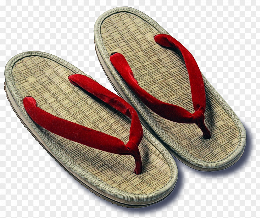 Footwear Flip-flops Slipper Red Shoe PNG