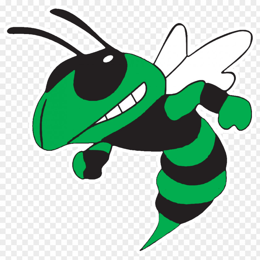 Hornet Green Car Yellowjacket Bumper Sticker PNG