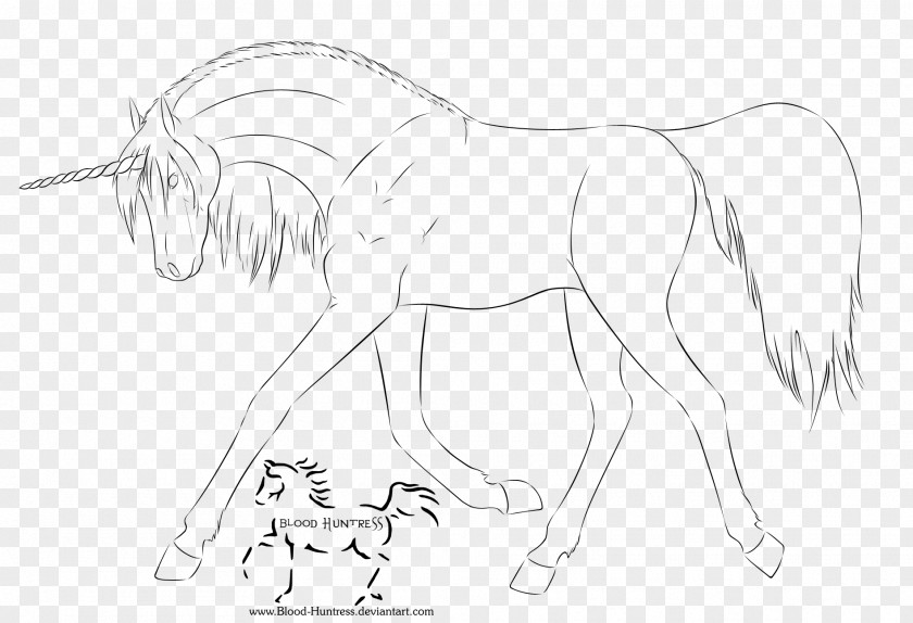 Horse Line Art Mane Drawing PNG