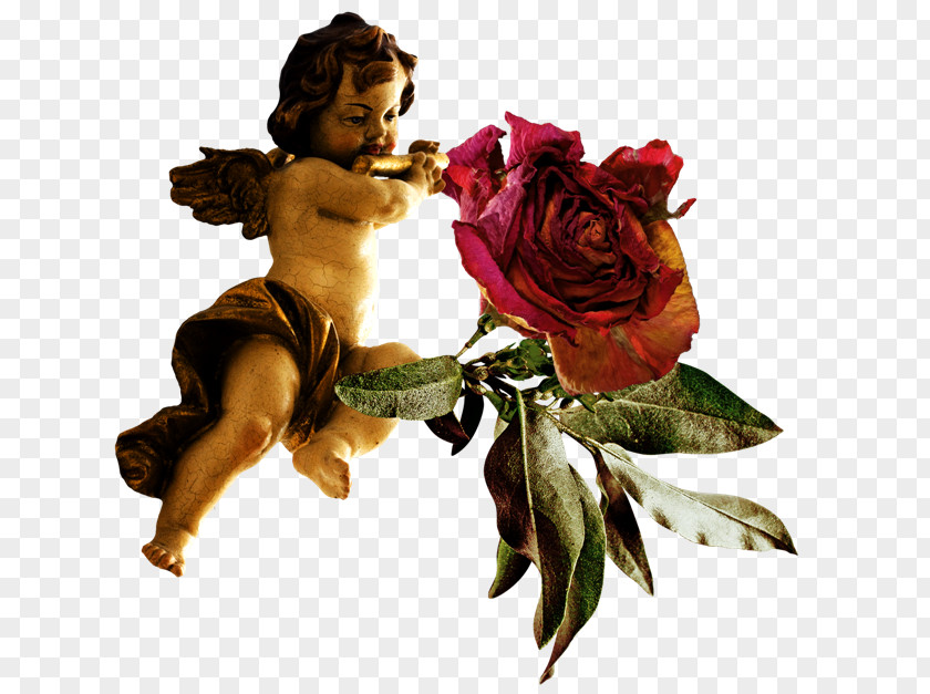 Angel Garden Roses 2403 (عدد) Makhluk Clip Art PNG