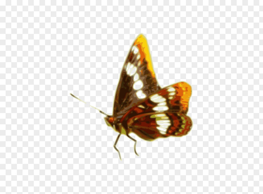 Antumn Leaves Gradient Color Brush-footed Butterflies Butterfly And Moths Insect PNG