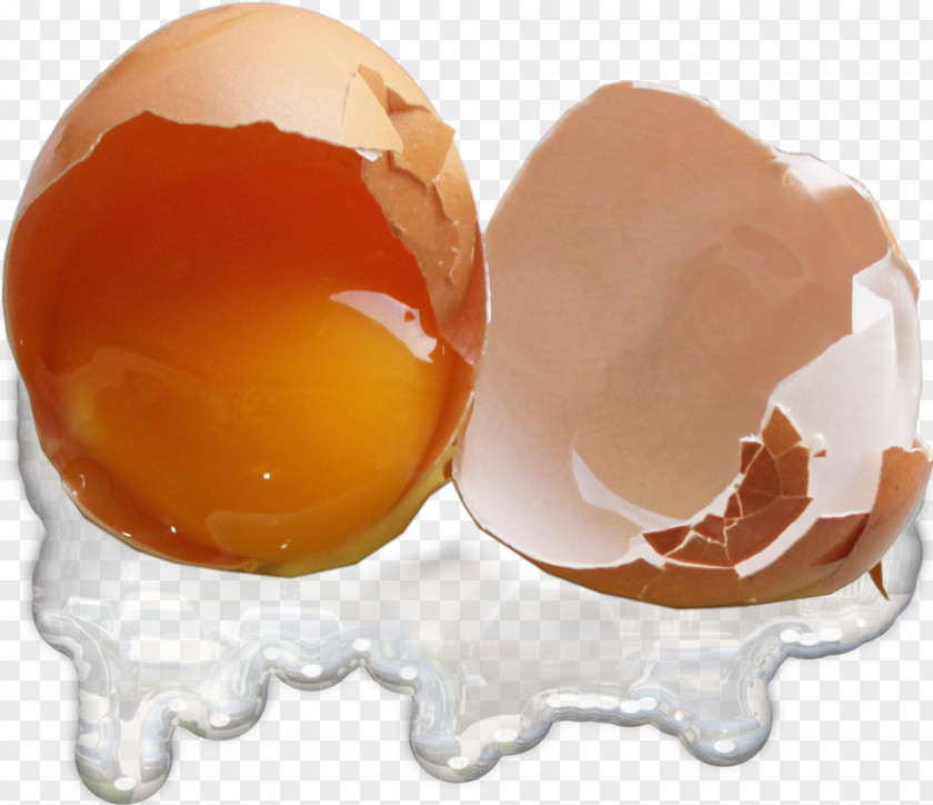 Broken Egg Shell Chicken Yolk PNG