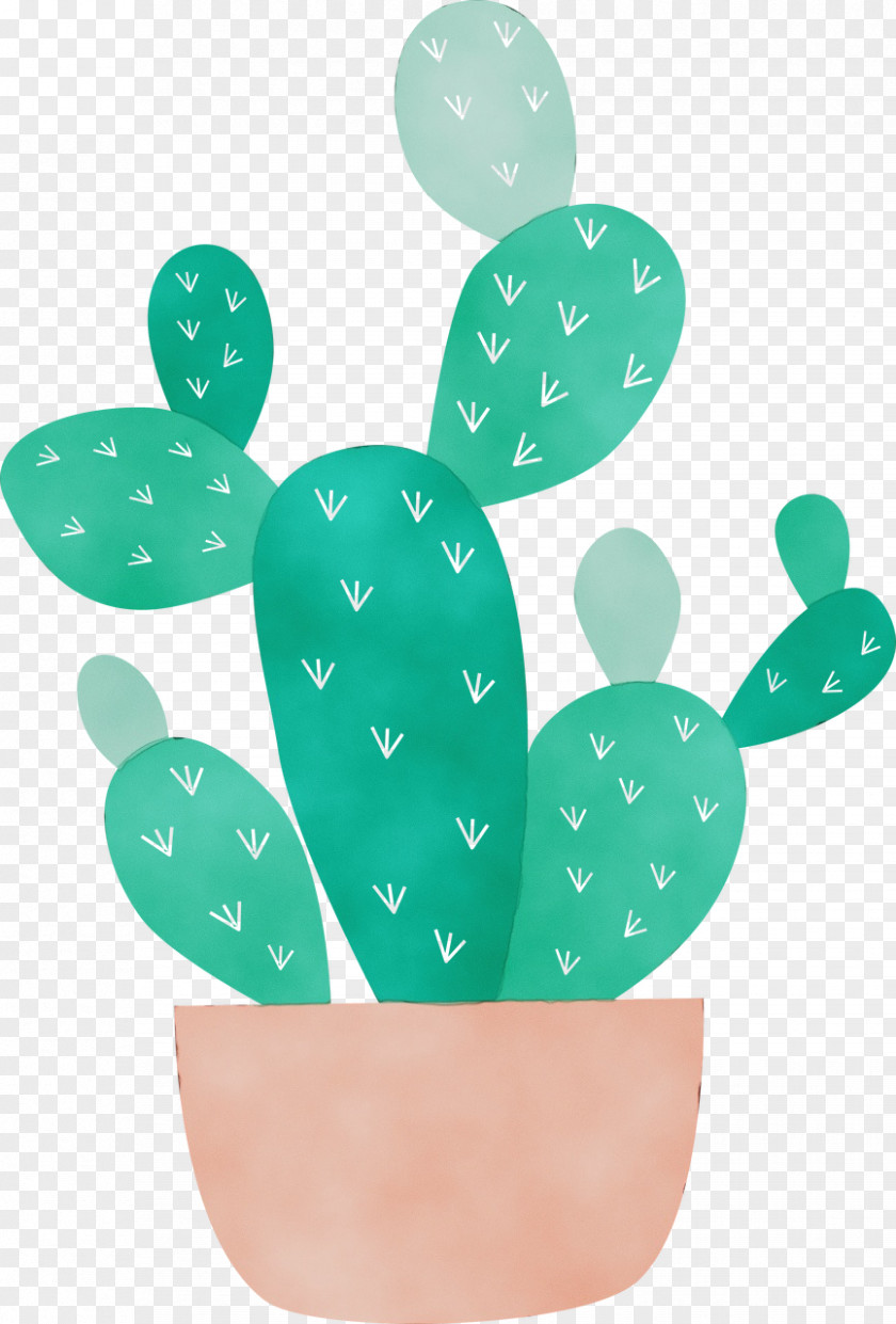 Cactus PNG