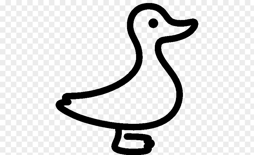 Duck Domestic Download PNG