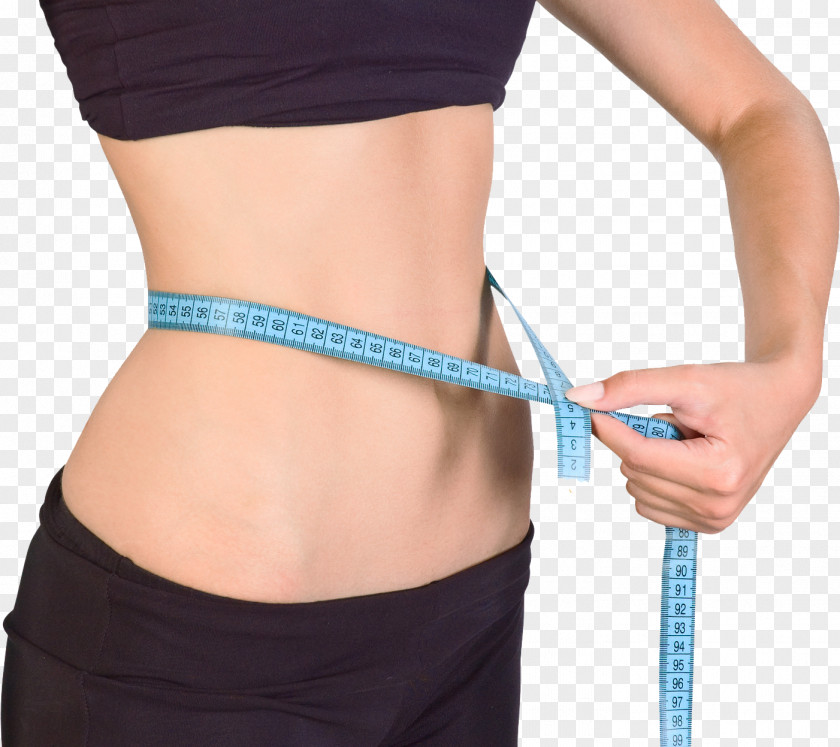 Fat Reduction Exercise Weight Loss Liposuction Adipose Tissue Abdomen PNG
