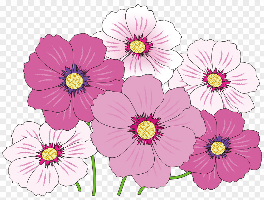 Flower Clip Art Vector Graphics Floral Design PNG