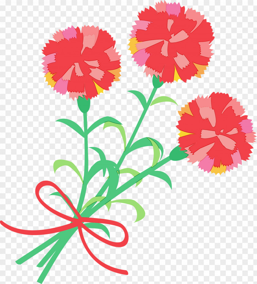 Flower Cut Flowers Plant Tagetes Carnation PNG