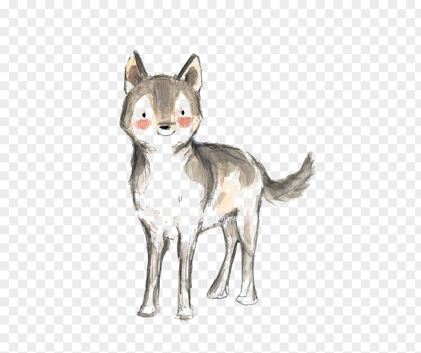 Hand Drawn Cute Puppy Dog Drawing Art Illustration PNG