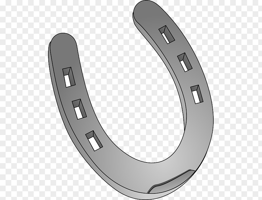 Horse Horseshoe Clip Art PNG