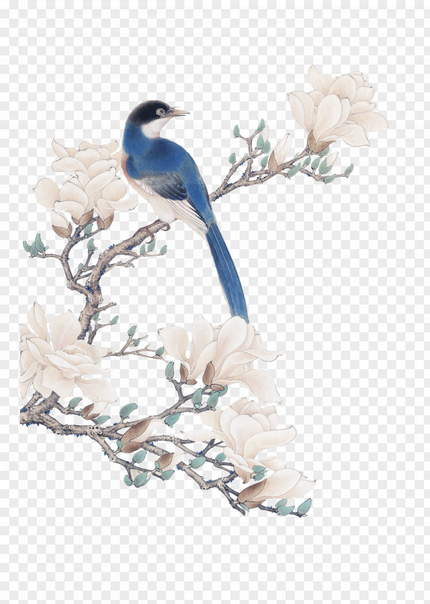 Magnolia Flowers PNG flowers clipart PNG
